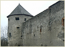 Bzovícky hrad